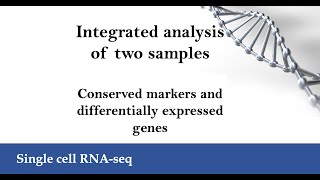 scRNA-seq -Integrated analysis: Conserved markers and differentially expressed genes (Seurat v5)