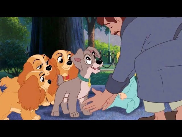 A Dama e o Vagabundo / Lady and the Tramp Brazilian Portuguese Voice Cast -  WILLDUBGURU