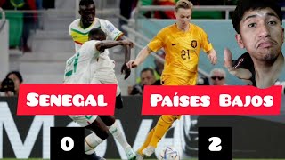RESUMEN SENEGAL VS PAISES BAJOS ¡SIN MANÉ SUFREN LA PRIMERA DERROTA DEL MUNDIAL EN EL GRUPO A! QATAR
