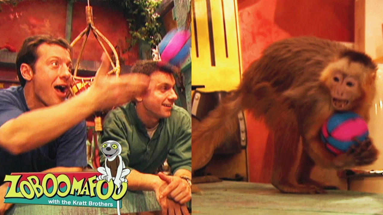 Lancer | Zoboomafoo Française - WildBrain | Apprenez-en plus sur les Animaux!