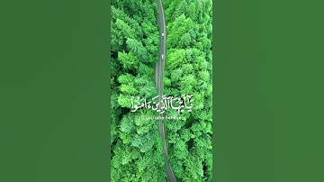سورة الأحزاب تلاوة خاشعة بصوت #سعد_الغامدي