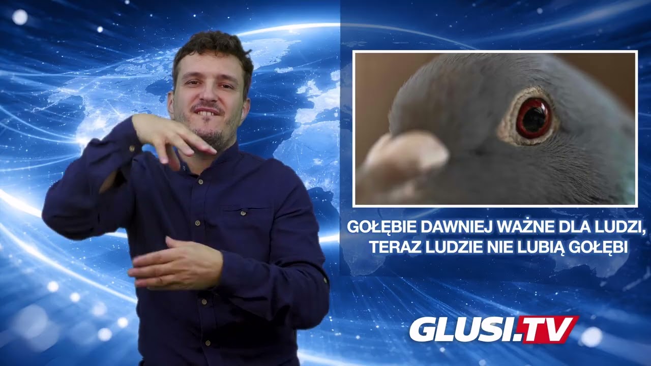 Gołębie dawniej ważne dla ludzi, teraz ludzie nie lubią gołębi