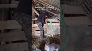 Такой вот небольшой курс реабилитации🤝✅