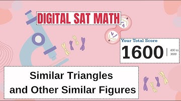 15003011 Similar Triangles and Similar Figures |  Sample Question