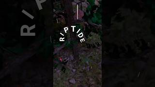 riptide montage