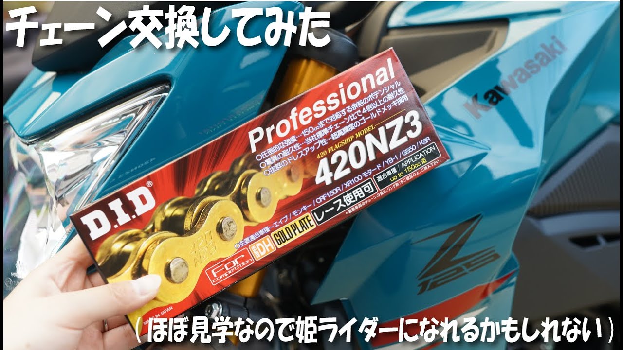 チェーン45cmに変更 初めてのチェーン交換ではしっかりポンコツだった【KAWASAKI
