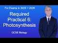 GCSE Biology Revision "Required Practical 6: Photosynthesis"