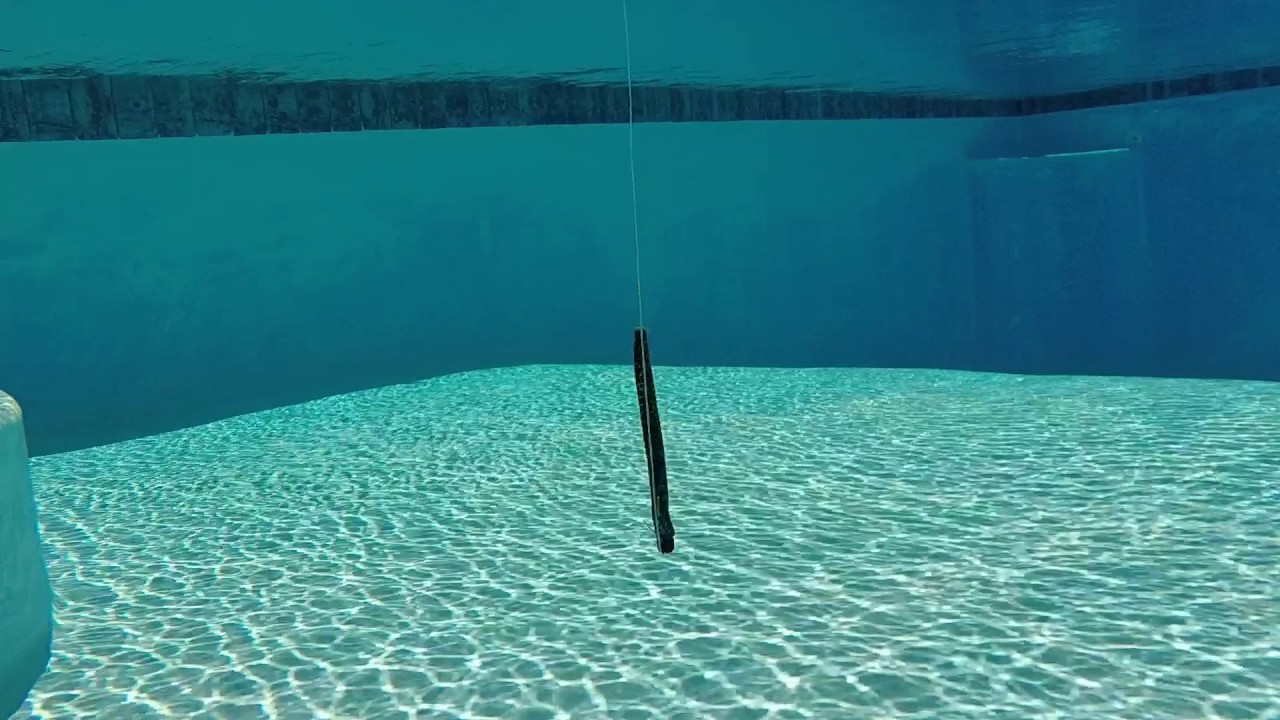 THE NED RIG - UNDERWATER VIEW - YouTube