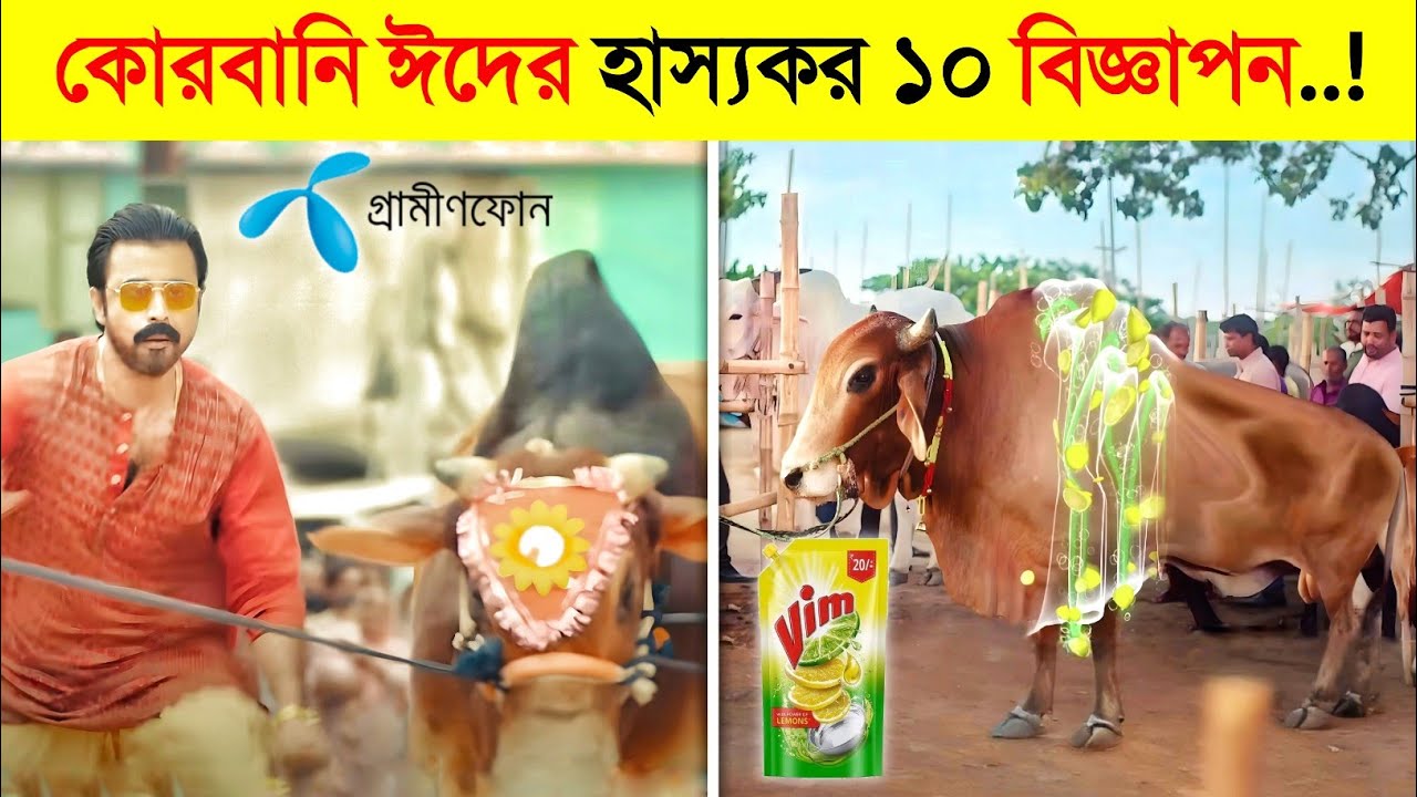 এই কোরবানি ঈদে হাসতে হাসতে পেট ফেটে যাবে এই ১০ বিজ্ঞাপন দেখে..! 😂😂 || Qurbani Eid Funny Videos