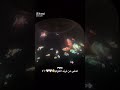 احلى من ترند الكركم ترند السمك
