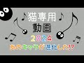 猫専用動画 2024 cat game for cat. えっ!!あのキャラが進化したの!?