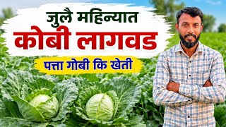 Download lagu जुलै महिन्यात कोबी लागवड | july mahinyat pike | kobi lagwad | पावसाळी कोबी लागवड | कोबी व्हरायटी
