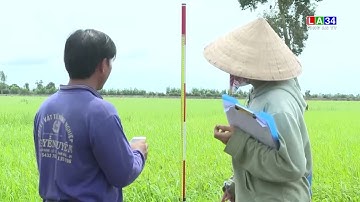 Nước lũ dâng cao, nguy cơ ngập lụt các vùng trũng thấp | LONG AN TV