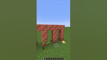 Minecraft 1.17 Logic...