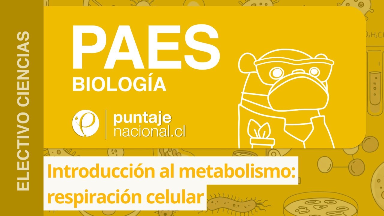 PAES | Biología | Introducción al metabolismo: respiración celular