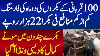 60 days goat farming business in short time for qurbani 2026