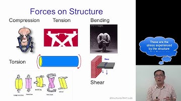 Structure Video for Lower Sec D&T