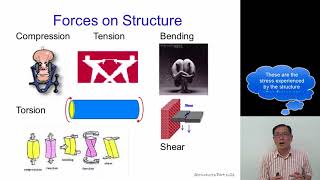 Structure Video for Lower Sec D&T