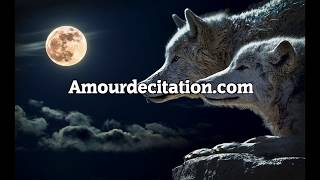 Les plus belles citations d'amour fort et sincère