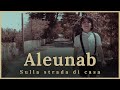 Aleunab  sulla strada di casa on the way home  short film 4k