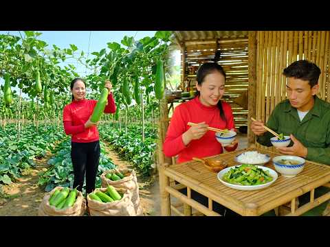 Harvesting Fresh Star Gourd | Farm to Market, Homemade Gourd Soup and Peaceful Homestead Life