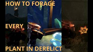 Derelict: Guide on Foraging