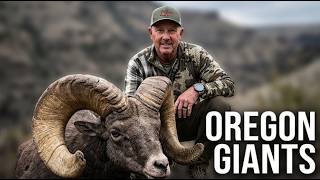 A Dream Realized | 180” Oregon Bighorn Sheep | SHORT FILM