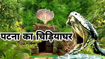 Patna Zoo | Partna Snake House | Patna Snake | Ka Chidiyaghar | Patna ka chidiyakhana | #onethink
