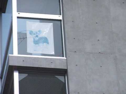 スタディピア 神戸ブレーメン動物専門学校 神戸市中央区布引町