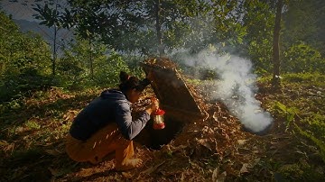 Building a Secret Dugout Between Two Oak Trees. Bushcraft, Survival Shelter