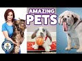 Amazing pets - Guinness World Records