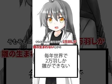 【ショート虚言】エイとはどんな生き物なのか #shorts #vtuber