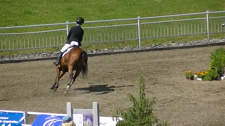 Alexandra Peterson & Willie Wiggins CCI 1 SJ