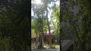 Download Lagu Watched You Chased MP3