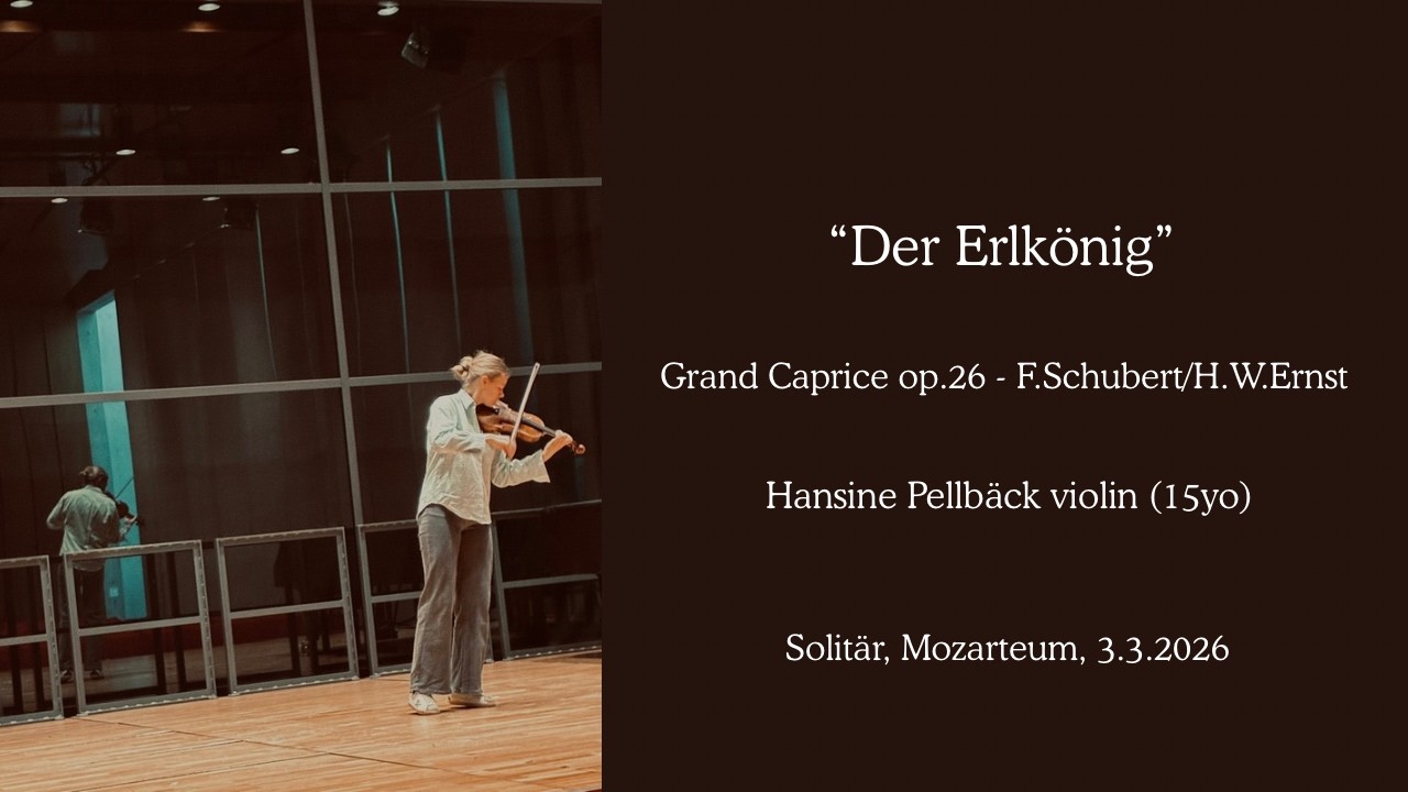 Der Erlkönig” Grand Caprice - F.Schubert/H.W.Ernst (Live