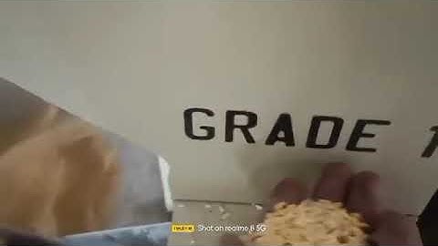 grading  of guar gum seed with gravity separator 7 fan machine