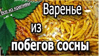 Варенье из побегов сосны. Готовим дома. Все из крапивы.