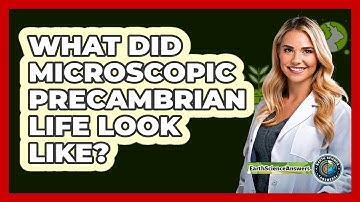 What Did Microscopic Precambrian Life Look Like? - Earth Science Answers