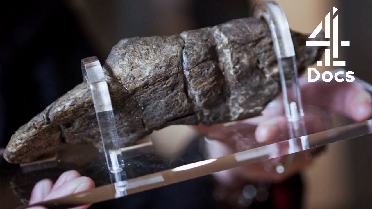 Viking Poo is One of the York's Biggest Archaeological Discoveries