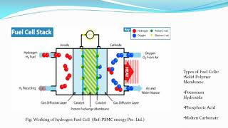 Week 1 Case Study Hydrogen Fuel Cell Technology