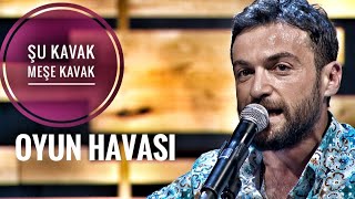 Umut Sülünoğlu - Şu Kavak Meşe Kavak #oyunhavası