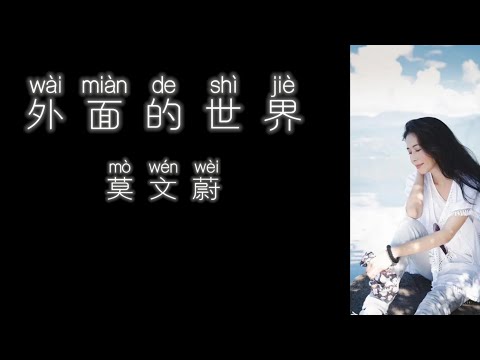 《外面的世界》 莫文蔚 【高音质歌词版】