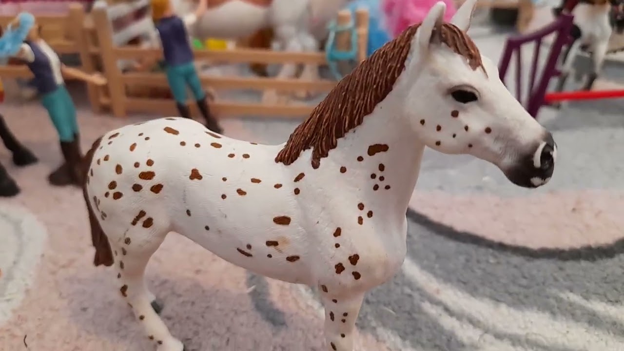 Fred poni  sillä on kaksi silmää?