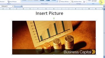 Lesson 47 The Insert Picture Crop   Size Microsoft Office Excel 2007 2010 free Educational video Tra
