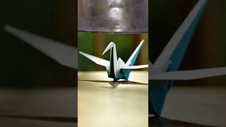 Super Plane Made By Paper  goviral trending goshorts goplane