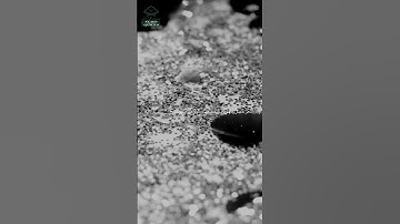 سورة السجدة • مكية • بصوت ياسر الدوسري | عدد الآيات: 30 #قرآن #Quran #تلاوة #قرآن_كريم #السجدة