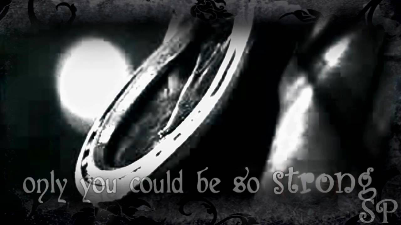 |--The Connection--|  Horse & Rider