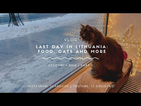 VLOG | 立陶宛也有貓咖啡?! Last Day in Lithuania: food, cats and more｜clabosire
