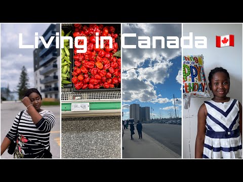 Canada🇨🇦 Living vlog 3: Sister’s birthday// Going grocery shopping// ranting