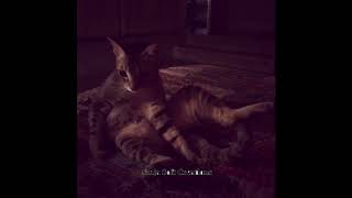 Shruti Hasan’s cat love | when your cat loves as much as you do ❤️ screenshot 4